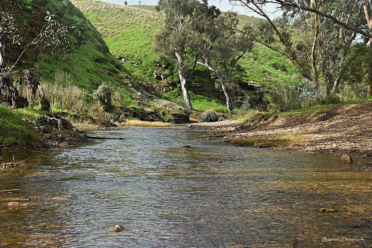 The Rocks Reserve